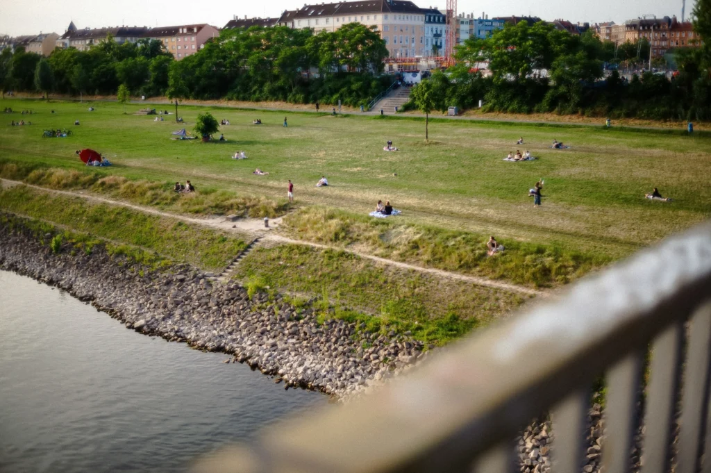 Grünfläche an der Neckarwiese Mannheim mit verstreuten Personen, die auf dem Gras sitzen oder liegen, im Hintergrund mehrstöckige Wohngebäude und Bäume.