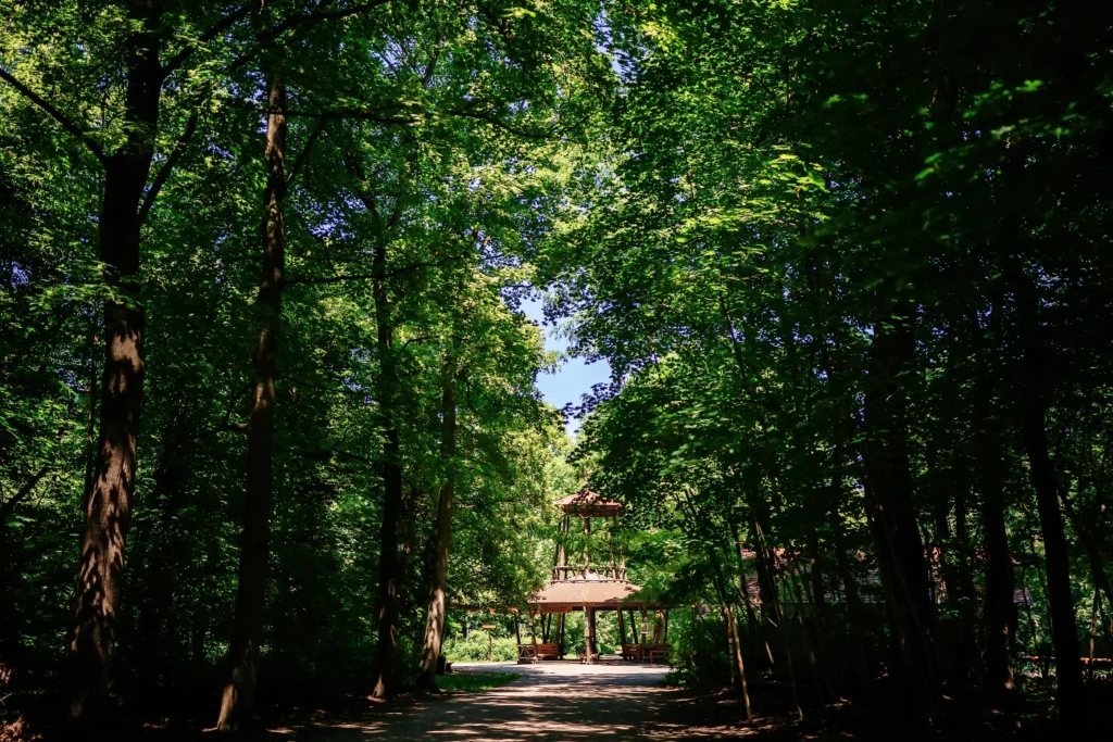 Waldweg mit hohen Bäumen und einem hölzernen Pavillon im Hintergrund.