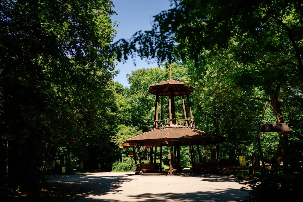 Ein überdachter Pavillon steht auf einem Platz inmitten eines dichten Waldgebiets.