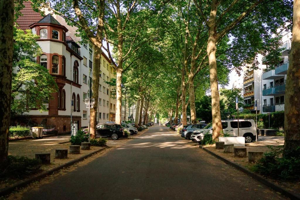 Breite Allee mit alten Platanen, Wohnhäusern und parkenden Autos in einem grünen Wohnviertel.