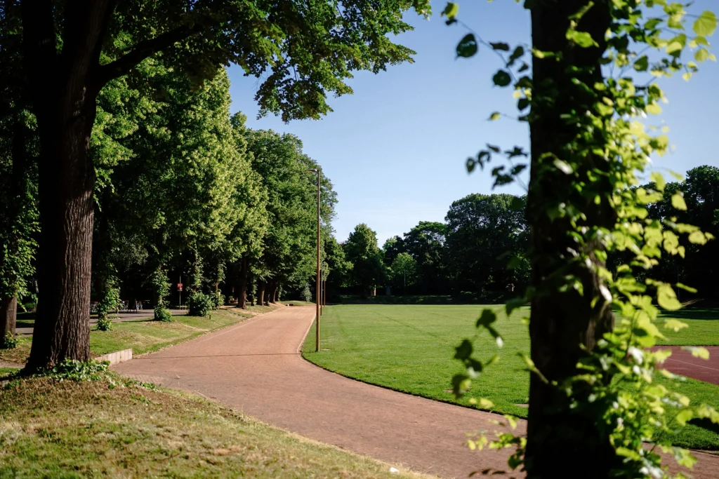 Laufbahn rotem Belag neben einer großen Rasenfläche und Bäumen im unterer Luisenpark Mannheim bei sonnigem Wetter.