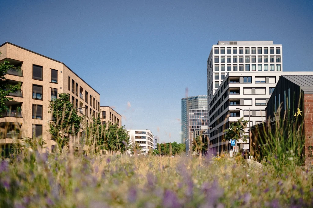 Das Quartier Glückstein im Lindenhof mit sommerlicher Bepflanzung im Vordergrund.