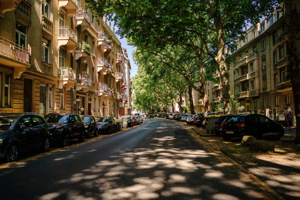 Baumgesäumte Straße mit historischen Wohnhäusern und parkenden Autos in Mannheim.