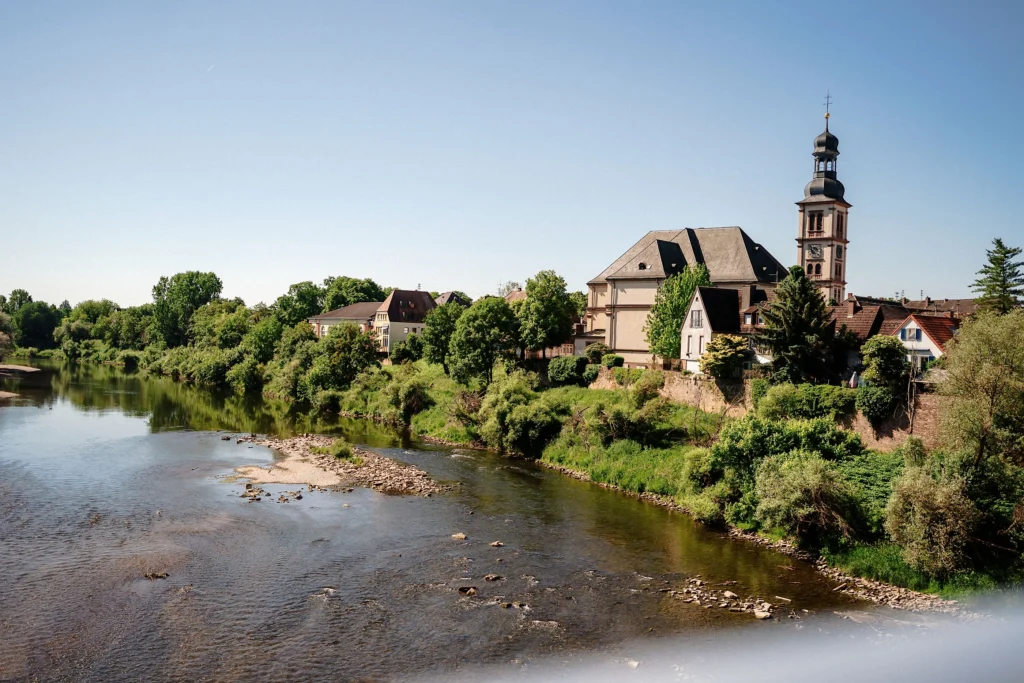 Blick über den Neckar auf den historischen Ortskern von Seckenheim mit Kirche.