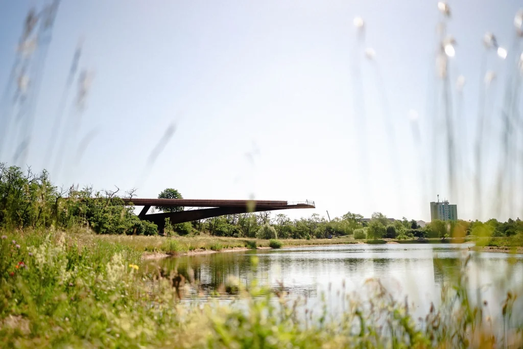 Ein ruhiger Fluss wird von Wiesen und Uferpflanzen gesäumt, im Hintergrund ist eine moderne Brücke zu sehen.