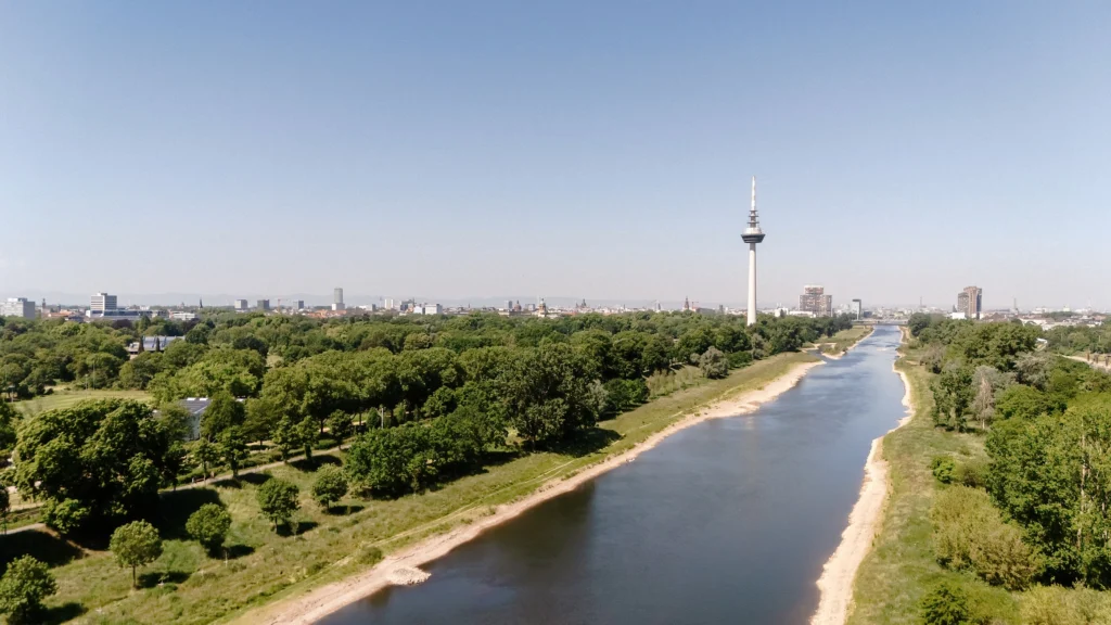 Der Neckar verläuft durch eine breite Grünlandschaft, im Hintergrund sind der Fernmeldeturm und die Mannheimer Skyline zu sehen.