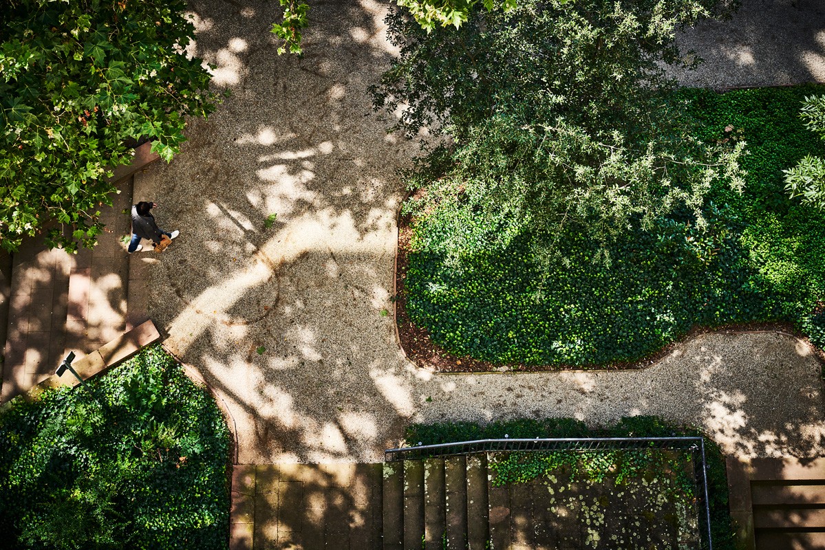 Grüner Park von Oben