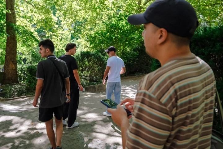Mehrere Personen gehen auf einem schattigen Weg durch eine grüne Parkanlage.