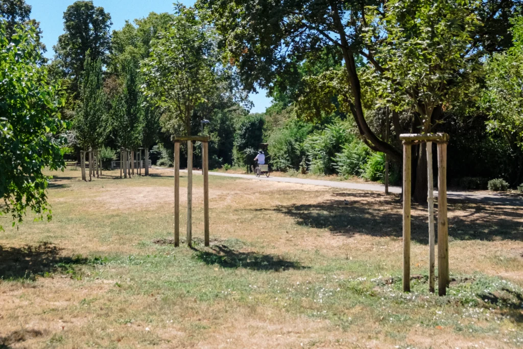 Trockene Grünfläche mit jungen Bäumen und einem Radweg, auf dem eine Person Fahrrad fährt.