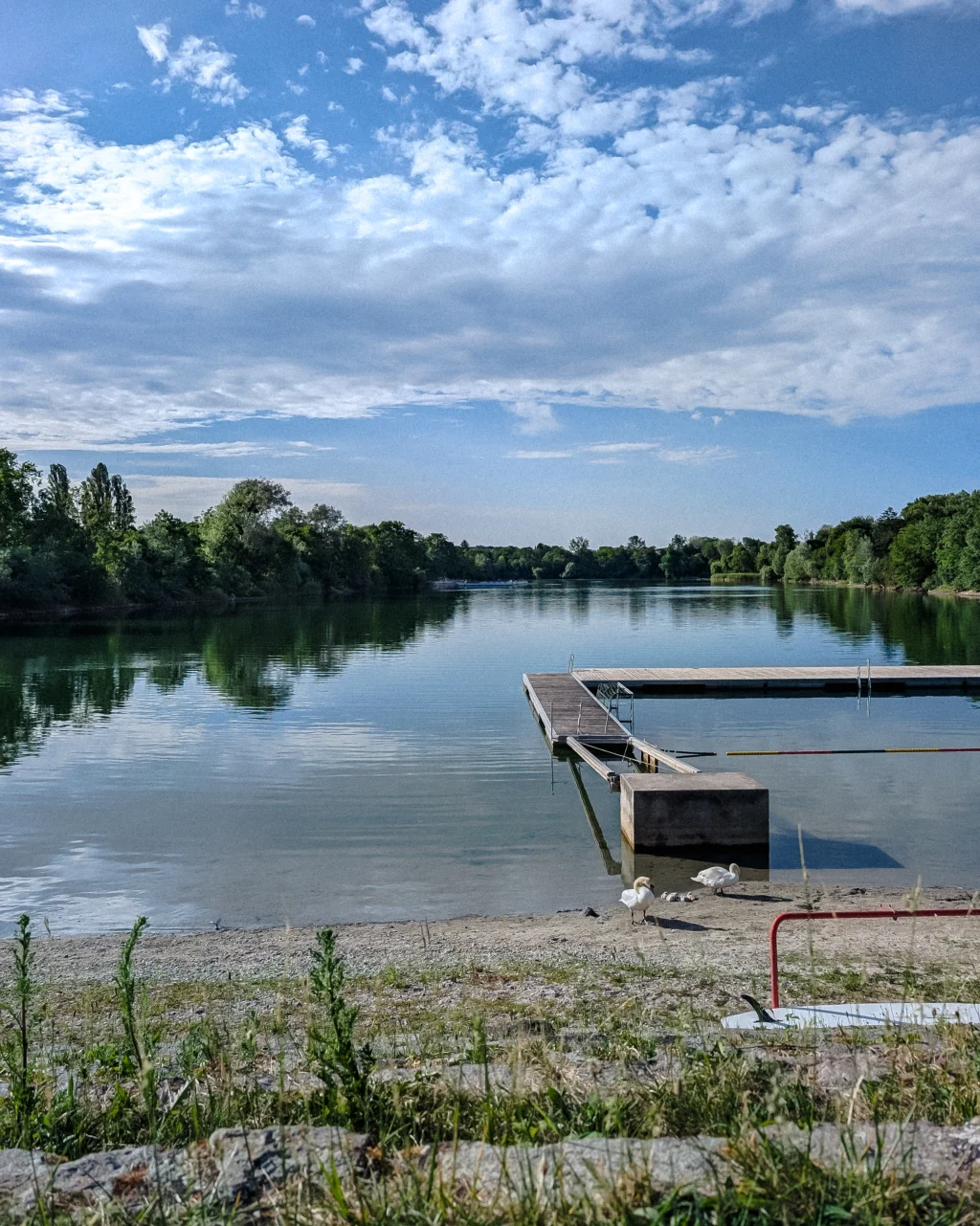 Ein ruhiger Badesee mit einem Holzsteg und zwei Schwänen am Ufer spiegelt den wolkenreichen Himmel und die umliegenden Bäume im Wasser wider.