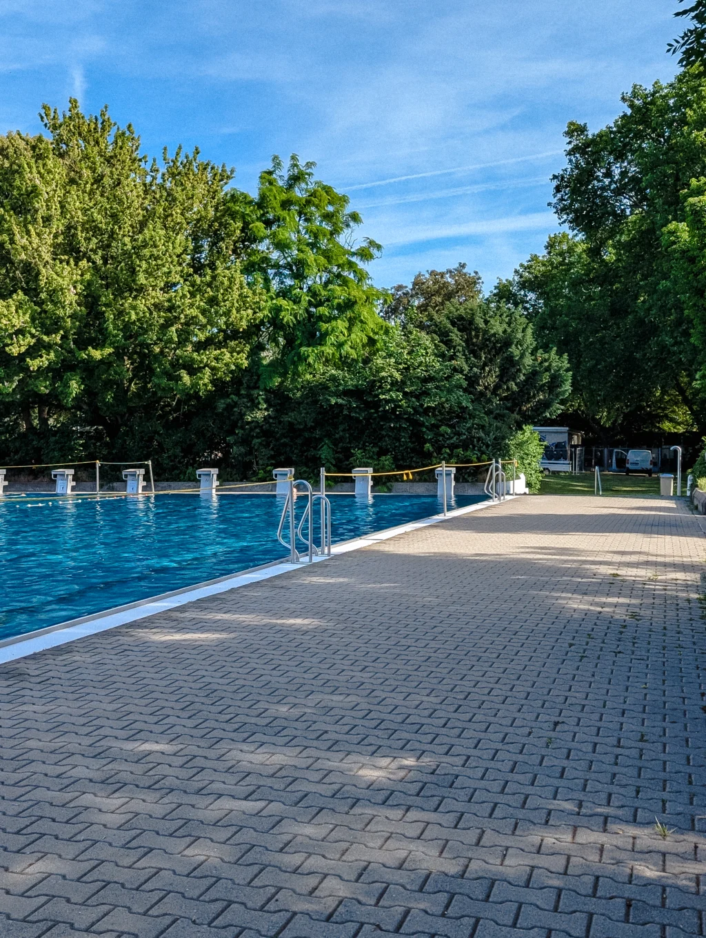 Ein rechteckiges Freibad mit blauem Wasser, Einstiegsleitern und gepflastertem Beckenrand liegt eingebettet zwischen hohen Bäumen und dichtem Grün.