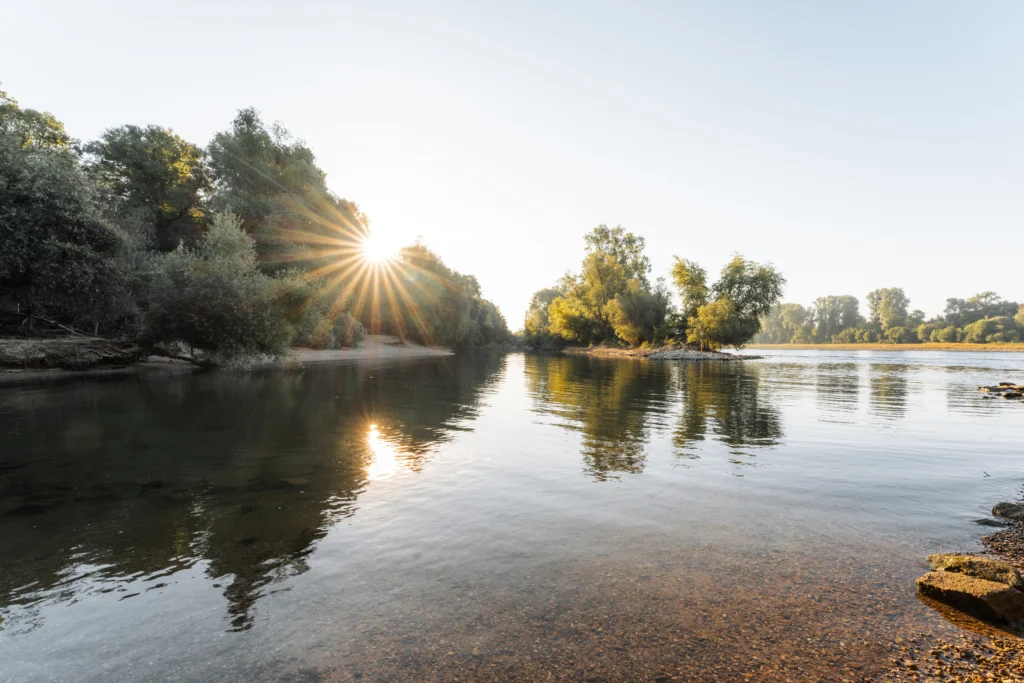 Die Sonne spiegelt sich auf der ruhigen Wasseroberfläche des Rhein, der von Bäumen und Ufervegetation umgeben ist.
